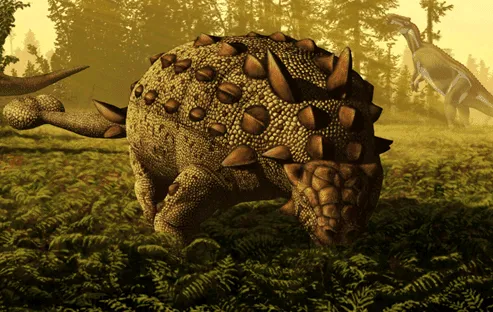 The Scolosaurus possessed thick skin with osteoderms and a clubbed tail that provided protection.