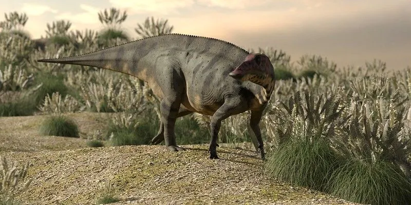 Shuangmiaosaurus gilmorei belonged to the early Cretaceous period.