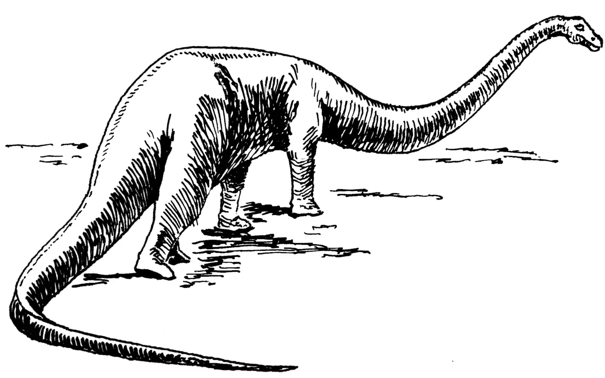 Some theories argue that this animal might not have been a sauropod.
