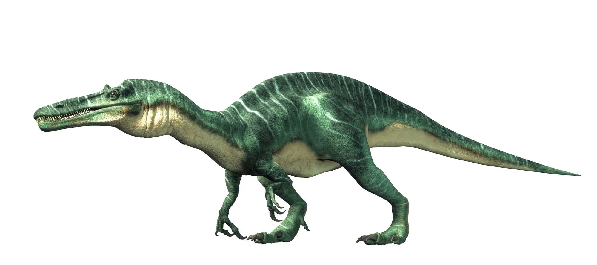 Suchomimus facts are about a dinosaur that lived 125-112 million years ago.