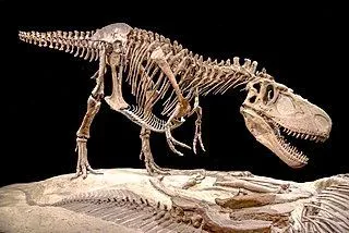 Suskityrannus facts are all about small-sized theropod dinosaurs.