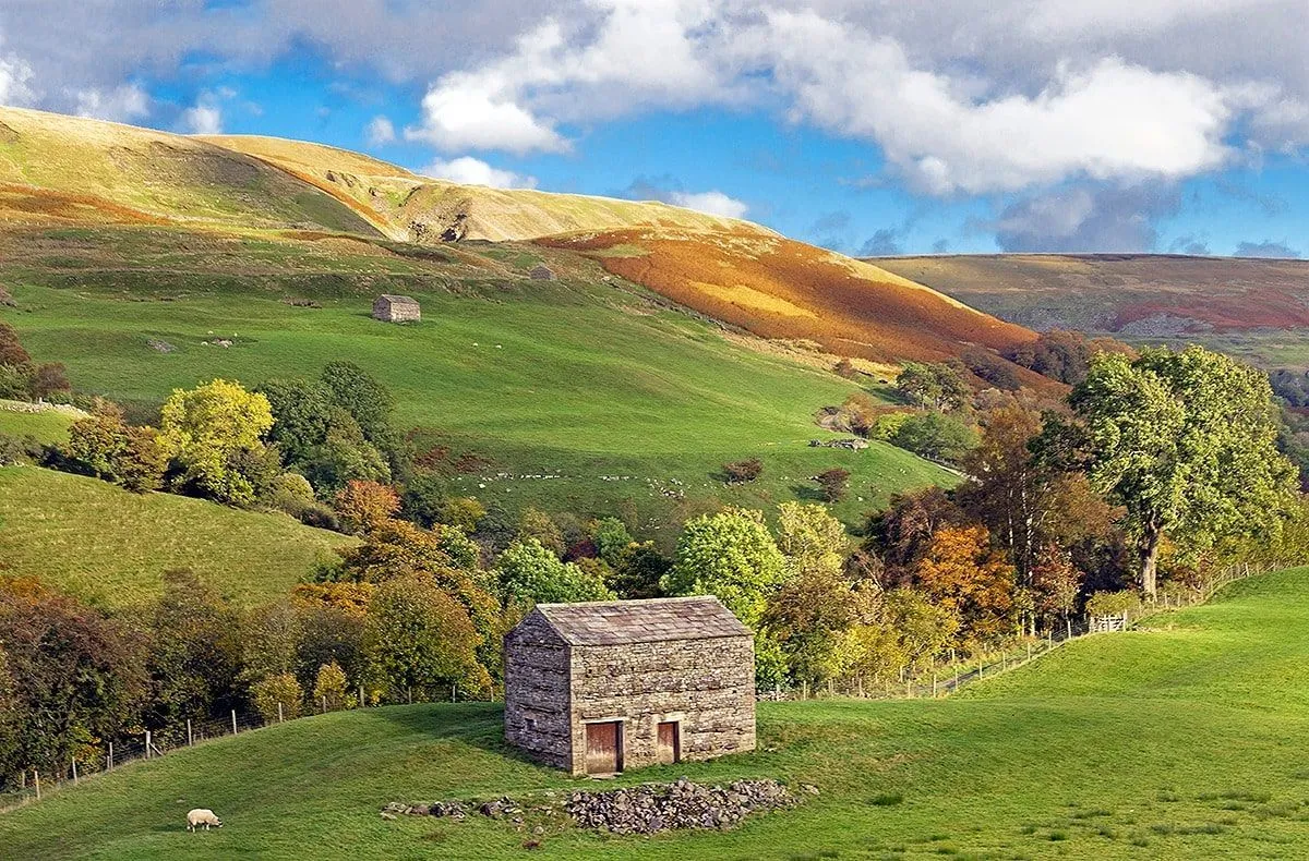 A mini-coach awaits you for a trip to Askrigg, Kettlewell, Bolton Castle, and more. Book Yorkshire Dales from York tickets.