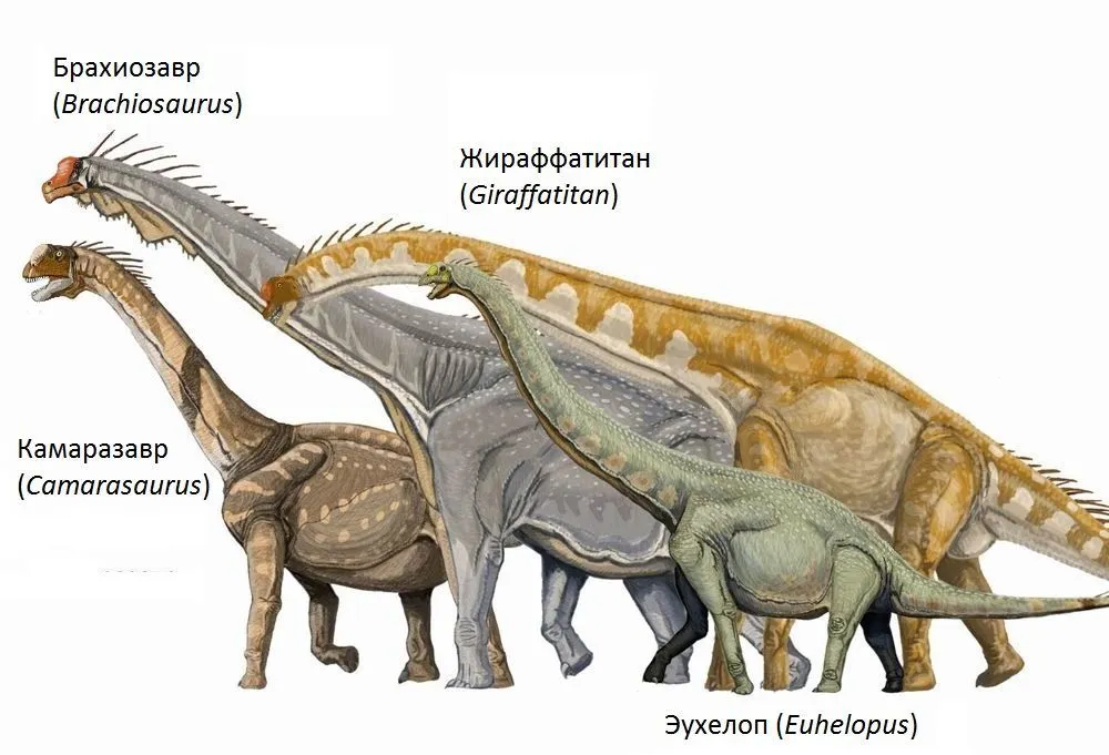 Tambatitanis lived in the Lower Cretaceous period.