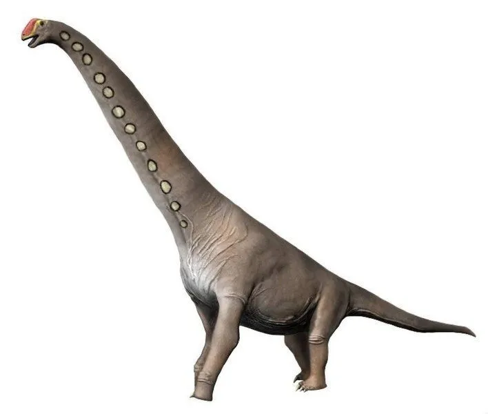 The Abydosaurus is a sauropod dinosaur.