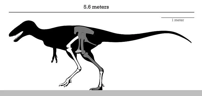 Fun Alectrosaurus Facts For Kidsti Kidadl