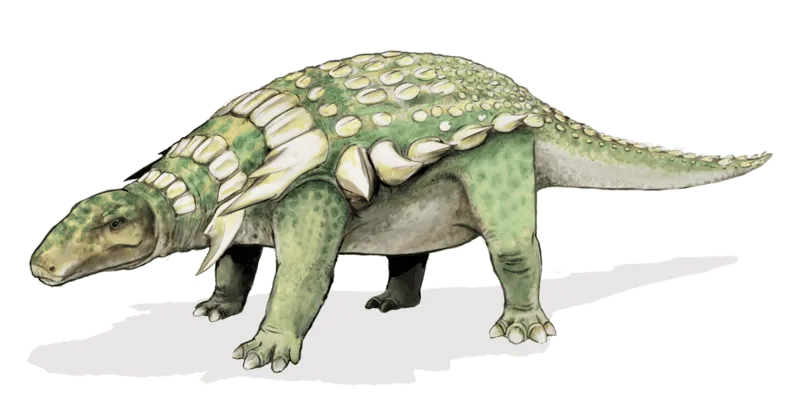 The Bactrosaurus is one of the earliest known hadrosauroids in the Cretaceous.