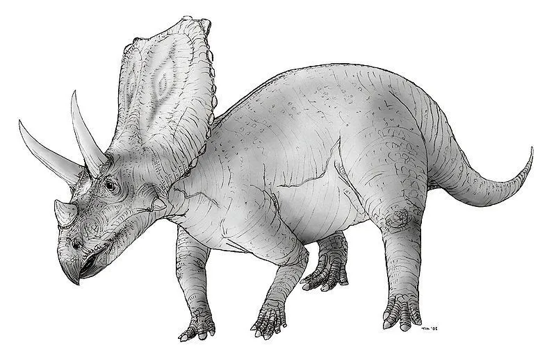 The Chasmosaurus was a ceratopsian which can be clearly seen by looking at its three horns.