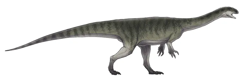 The Chromogisaurus novasi was a small sauropodomorph with a slender physique and long tail.