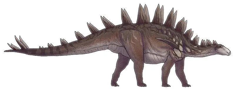 The Chungkingosaurus had two pairs of spikes at the end of its tail.