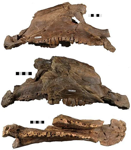 The Dakotadon dinosaur lived during the Early Cretaceous period.