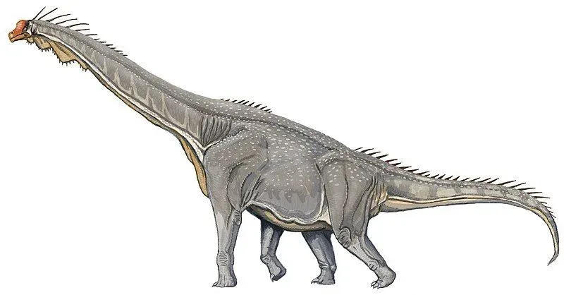 The Giraffatitan had a giant giraffe-like structure with a long neck and tail.