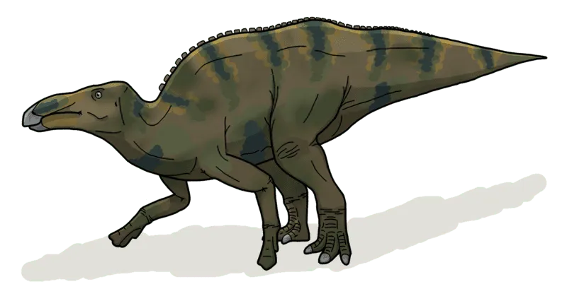 The Huaxiaosaurus had a very large body.