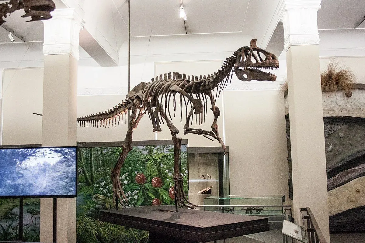 The Mandschurosaurus was a herbivore.