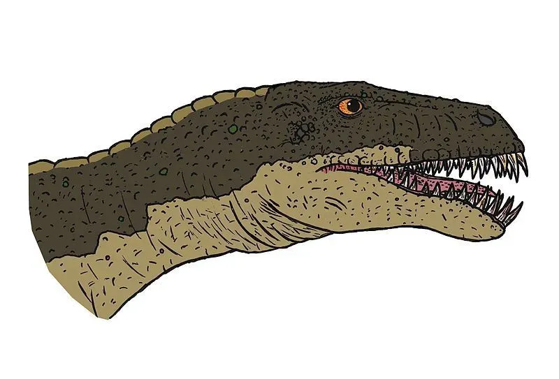The Masiakasaurus had a long tail and were assumed to be green in coloration.