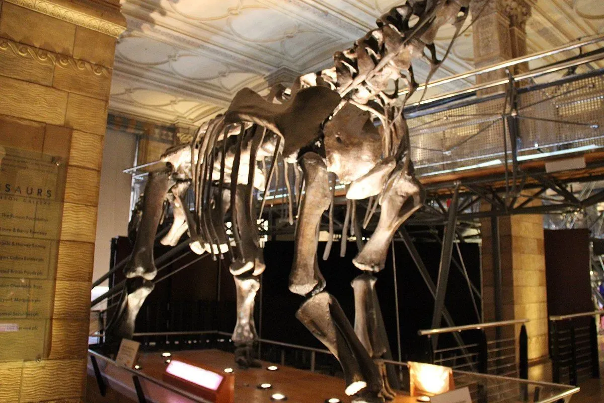 The Patagosaurus was herbivorous in nature.