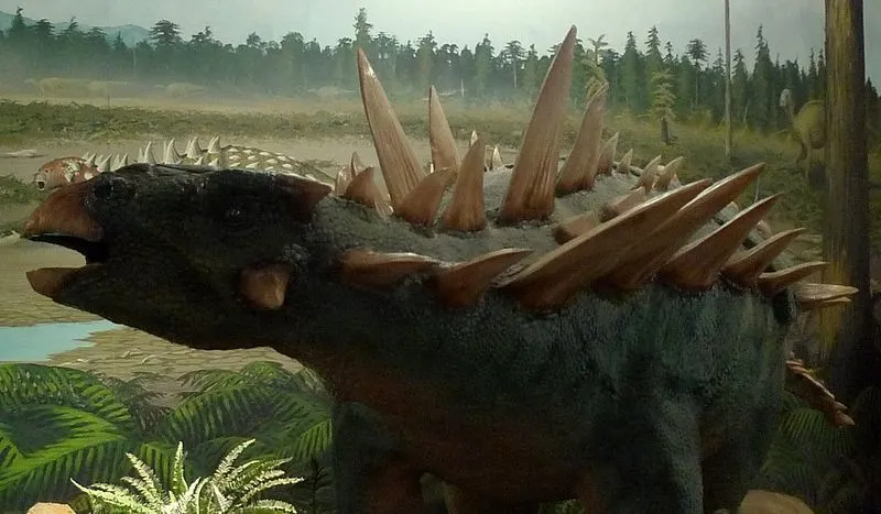 The Polacanthus had strong spikes on their back.