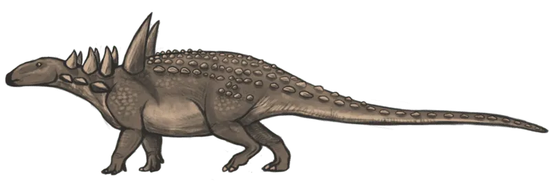 The Sauropelta had huge spines on its neck and rows of bony studs over its back.