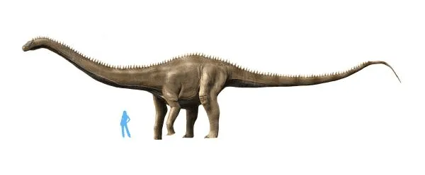 The Supersaurus was originally named Ultrasauros.