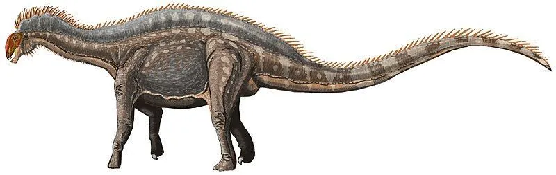 The Suuwassea, a herbivorous dinosaur, had a long neck, tail, and a small head.