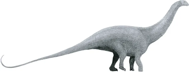 The Thotobolosaurus size is estimated to have been around 32.8 ft (10 m).