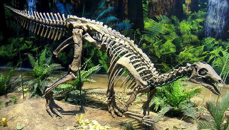 The Uteodon was a quadrupedal dinosaur.