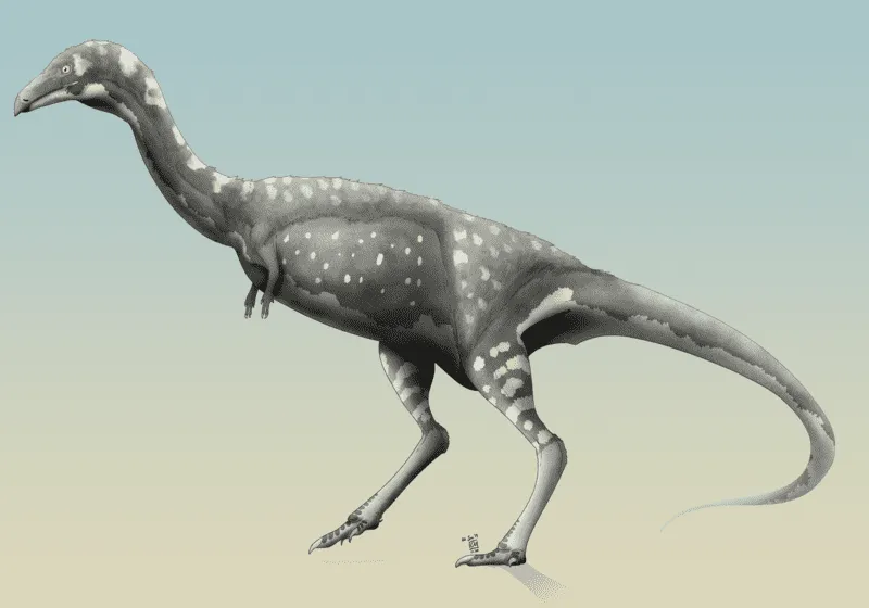 The Vespersaurus was a theropod that lives in the desert.