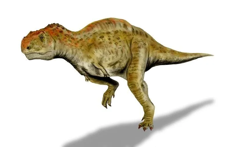 The size and maxilla of this dinosaur are some of its recognizable features.