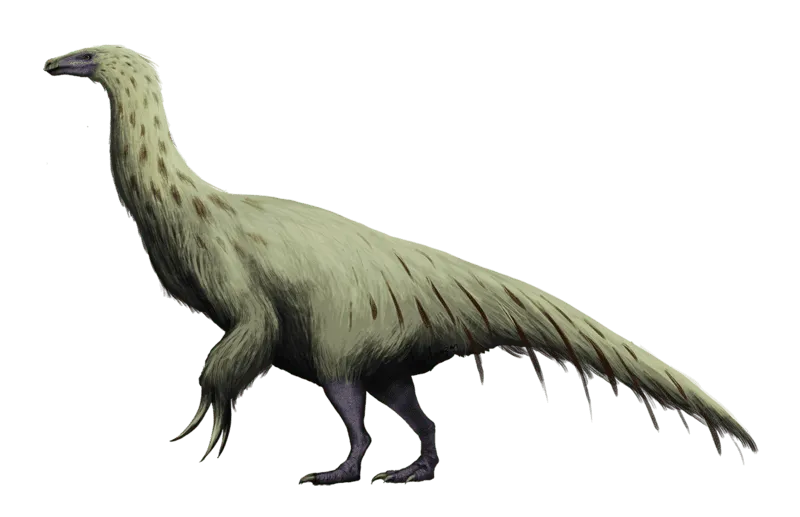 The size, structure, and neck of this dinosaur are some of its identifying features.