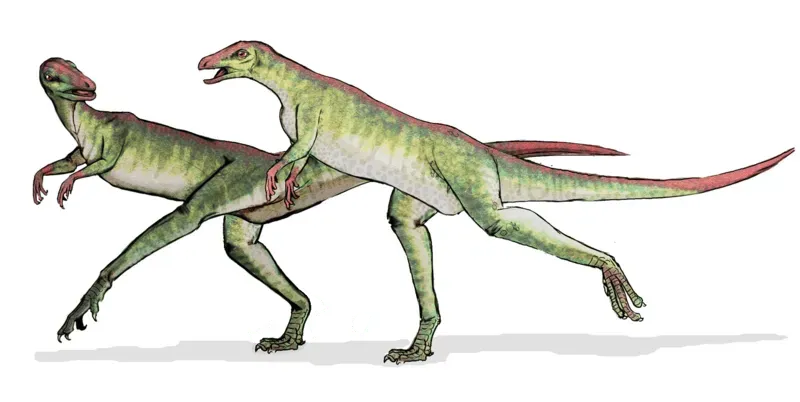 The species description was based on partial fossils.