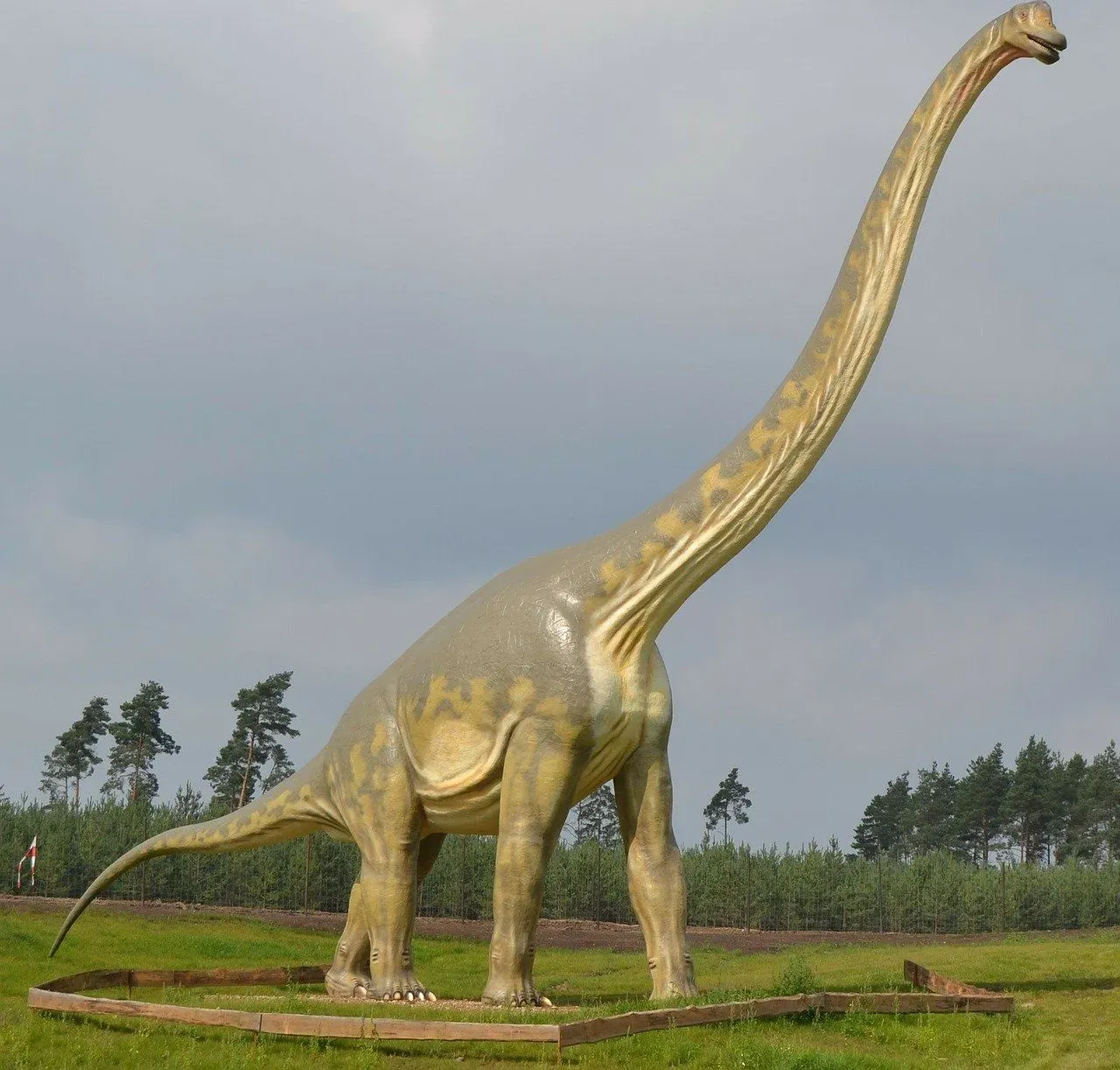 These rare Chubutisaurus facts would make you love them.