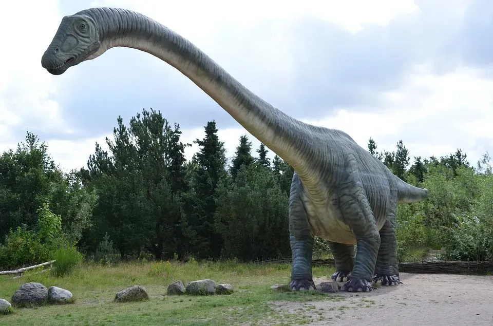 These rare Haplocanthosaurus facts would make you love them.