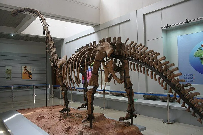 These rare Omeisaurus facts would make you love them.