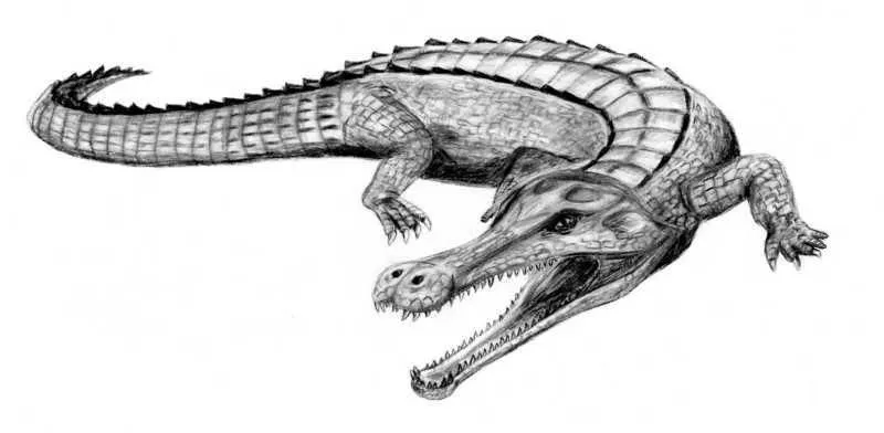 These rare Sarcosuchus facts will make you love them.