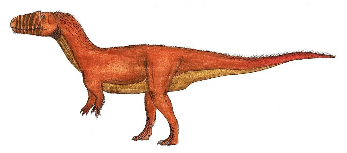 This dinosaur species was mostly carnivorous but could also possibly have been omnivorous in nature.