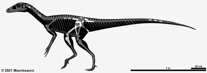 This dinosaur was characterized by its long neck and long hind legs.
