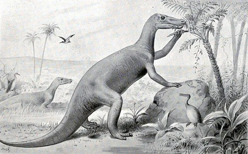 This herbivore dinosaur had four feet.