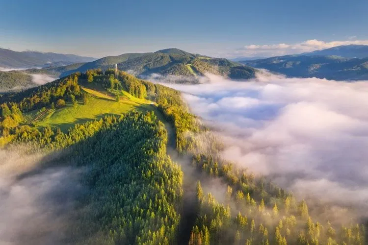 Aerial view of mountain peak with green trees in fog.