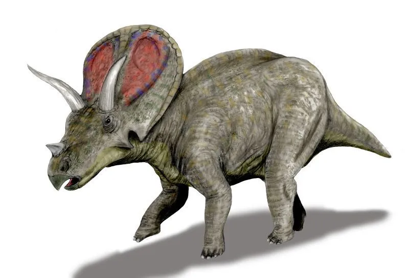 Read about some amazing Torosaurus facts in this article.