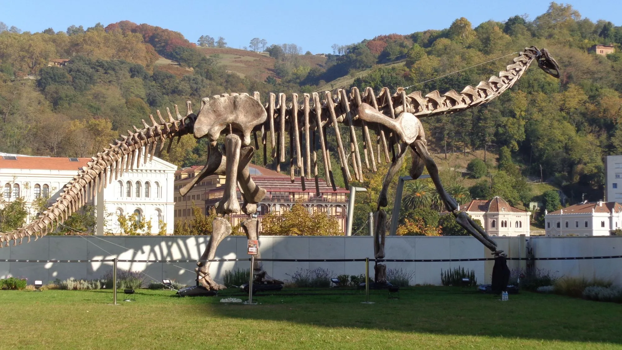 Discover fascinating Turiasaurus facts right here in this article.