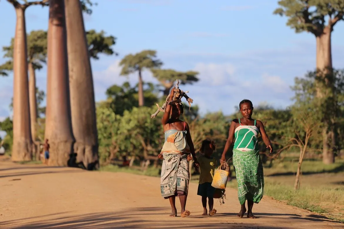 Two-third of Madagascar's population lives below the poverty line, with most earning less than $1.90 a day.