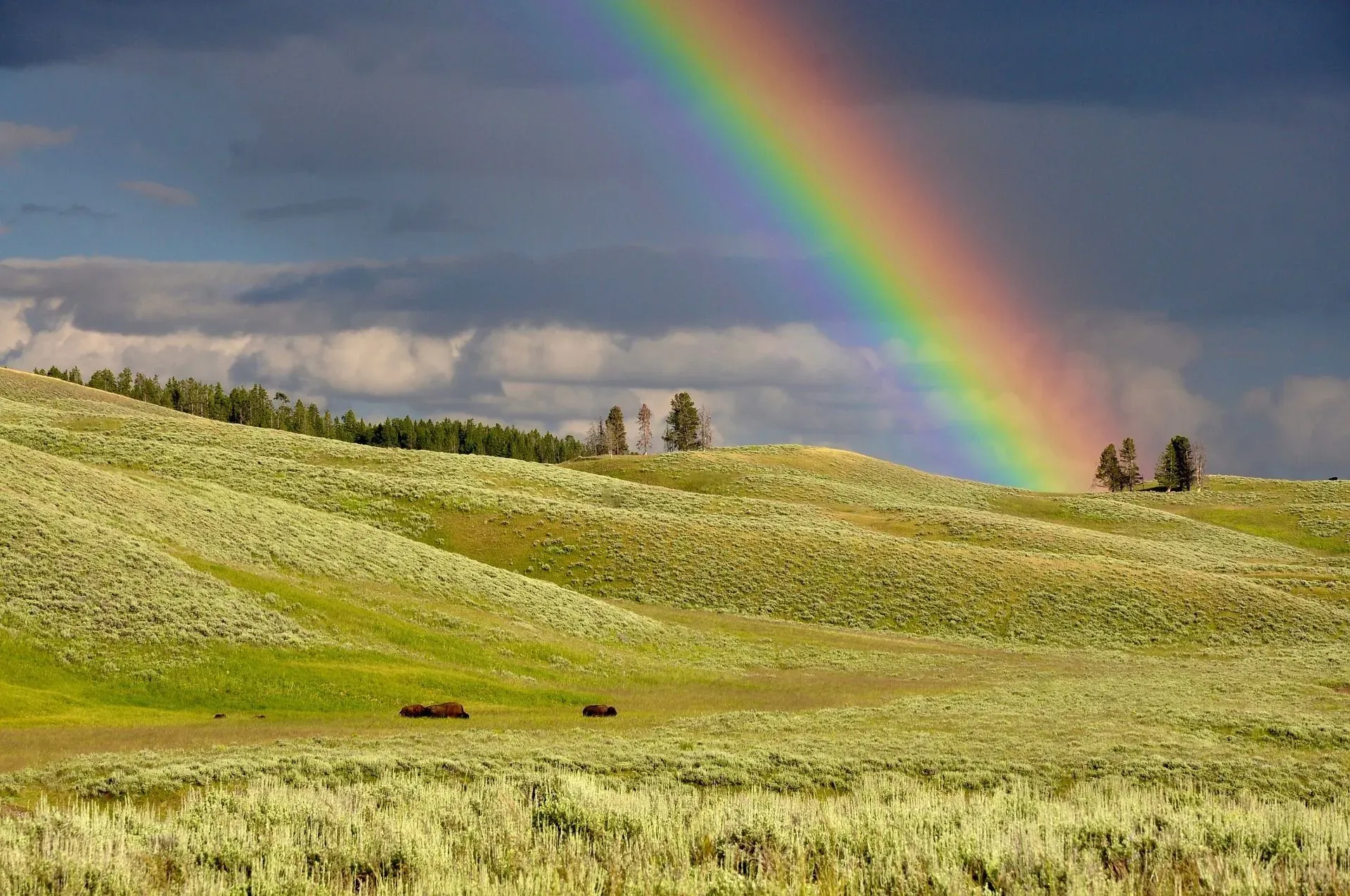 Different types of rainbows are visible after rain in various regions.