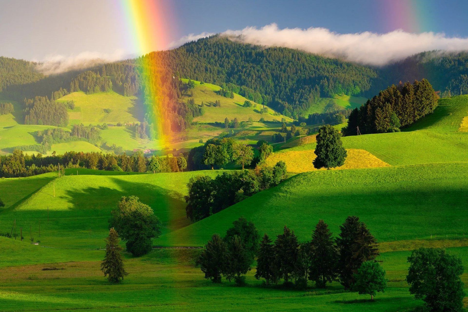 The color profile in twinned rainbows is the same spectrum as that in a regular rainbow.