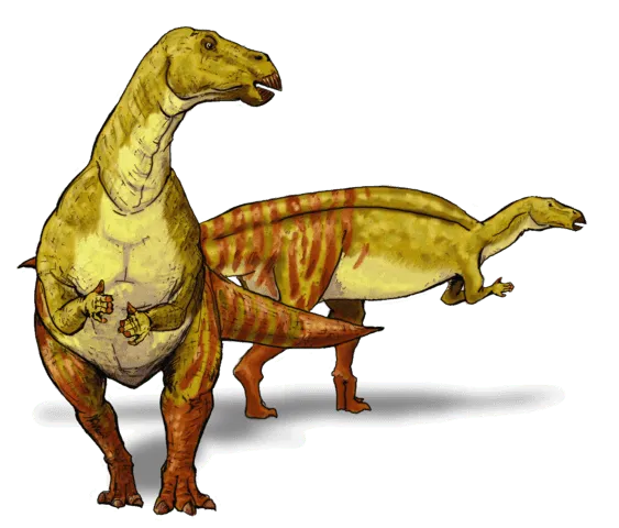 Originally classed as a Megalosaurus species, Friedrich von Huene reclassified it as an Altispinax species (1923), giving rise to Altipsinax oweni.