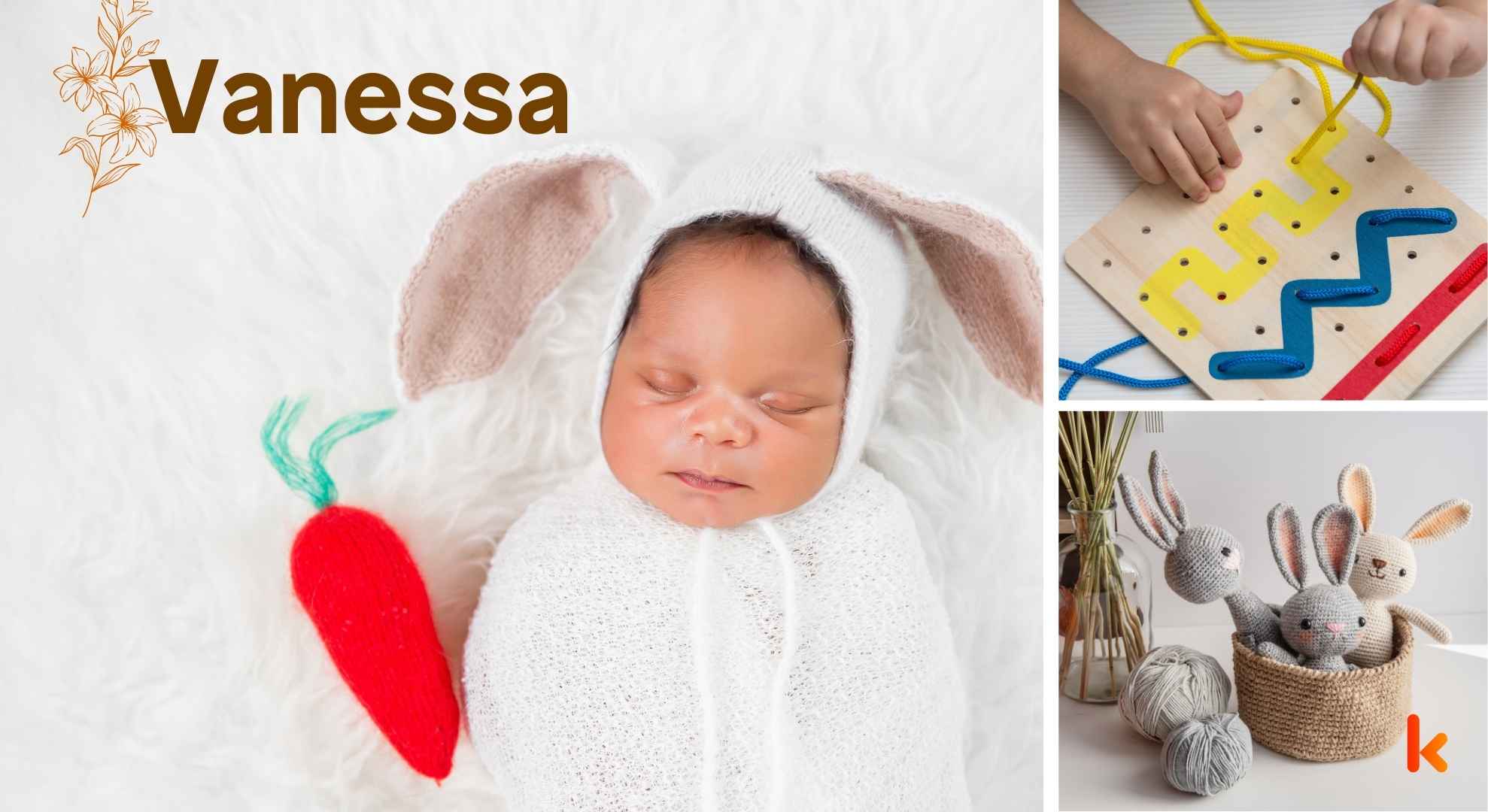 meaning-of-the-name-vanessa-baby-names-kidadl