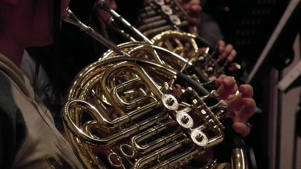 Variants of French horns include single horns, double horns, two horns, and four horns