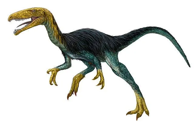 Velocisaurus facts!