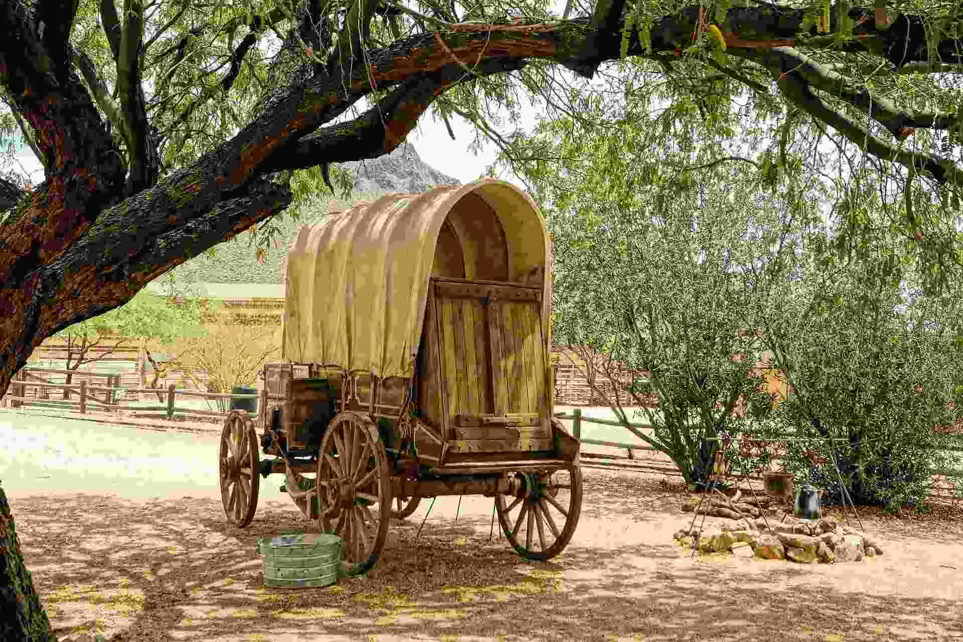 Wagon trains facts are useful to know as wagon trains were an important part of transportation history.