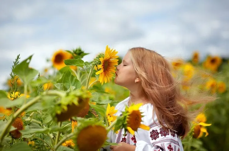 A beautiful girl in an embroidered shirt with fluttering hair sniffs a sunflower flower.
