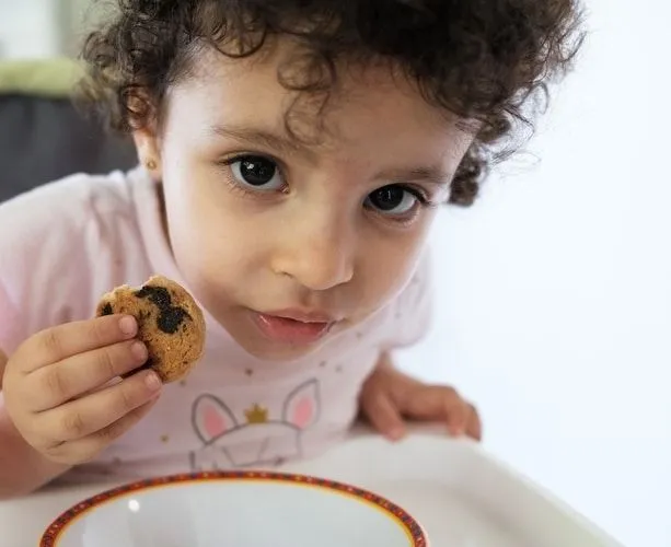 CLose up of a Cuban little girl eating a cookie