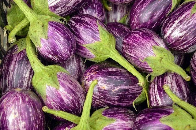 Aubergine color almost looks like a darker shade of purple.